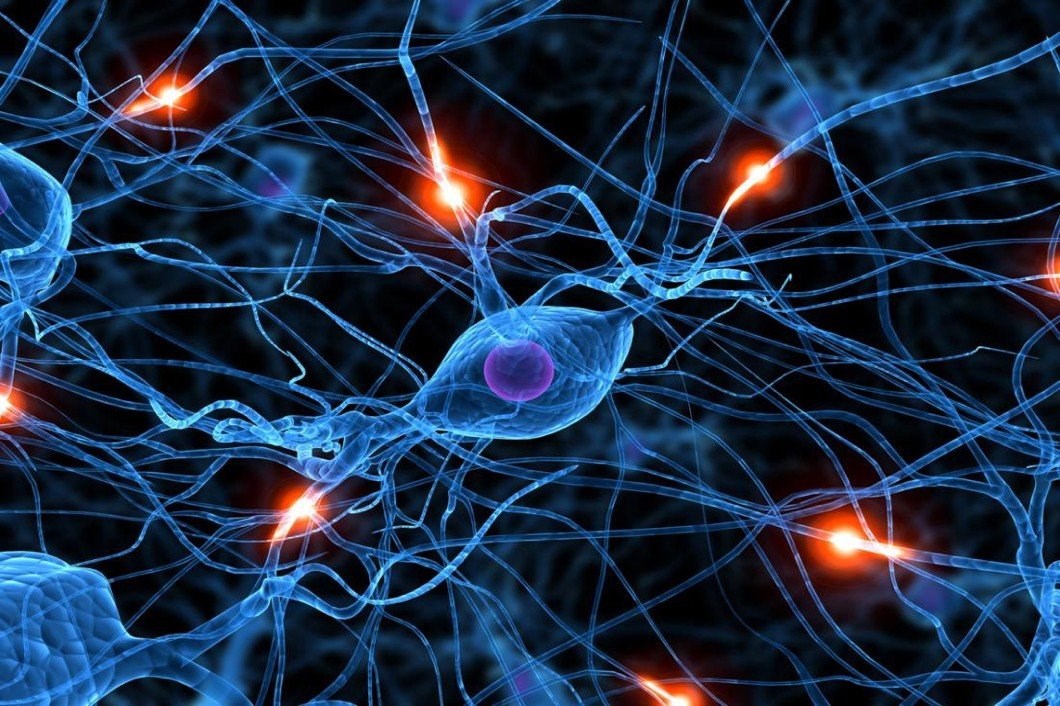 Giải đáp tất tần tật Artificial Neural Network