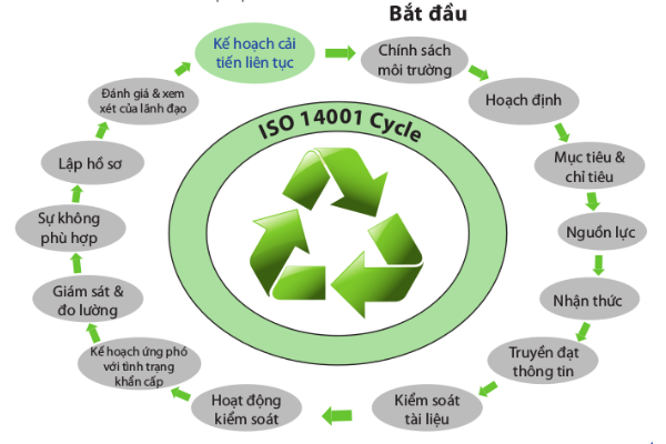 ISO 14001 là gì? Tham khảo hệ thống quản lý môi trường - ISO 14001