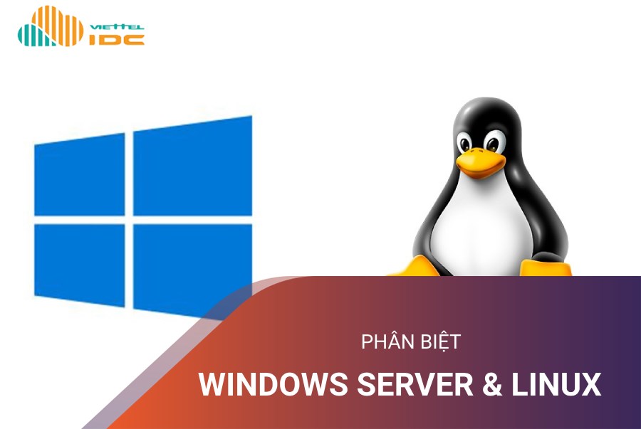 Phân biệt Windows Server và Linux Server