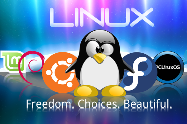 Tính năng của dịch vụ Hosting Linux