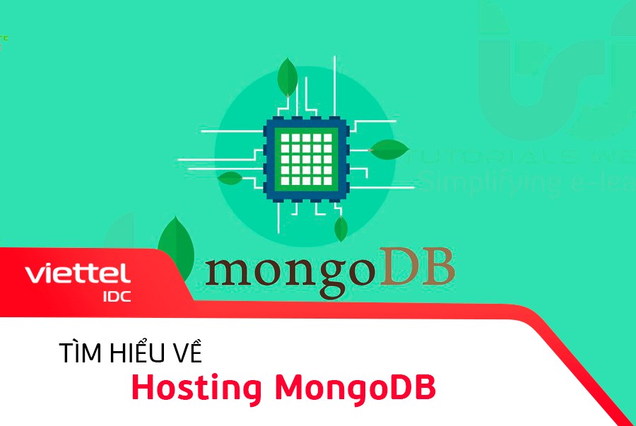  Tìm hiểu về Hosting MongoDB