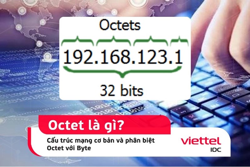 Octec Byte Octet là gì? Cấu trúc mạng cơ bản và phân biệt Octet với Byte