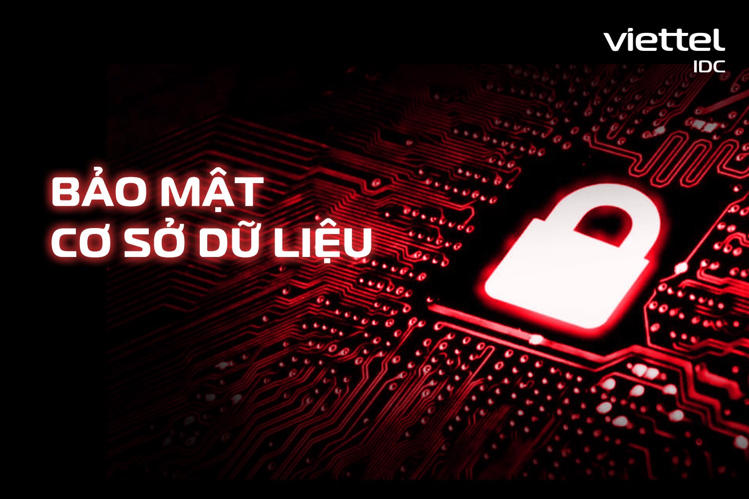 Bảo mật cơ sở dữ liệu là gì? Phương pháp bảo mật cơ sở dữ liệu nào đáng cân nhắc cho doanh nghiệp?