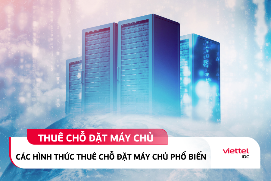 Các hình thức cho thuê chỗ đặt máy chủ phổ biến