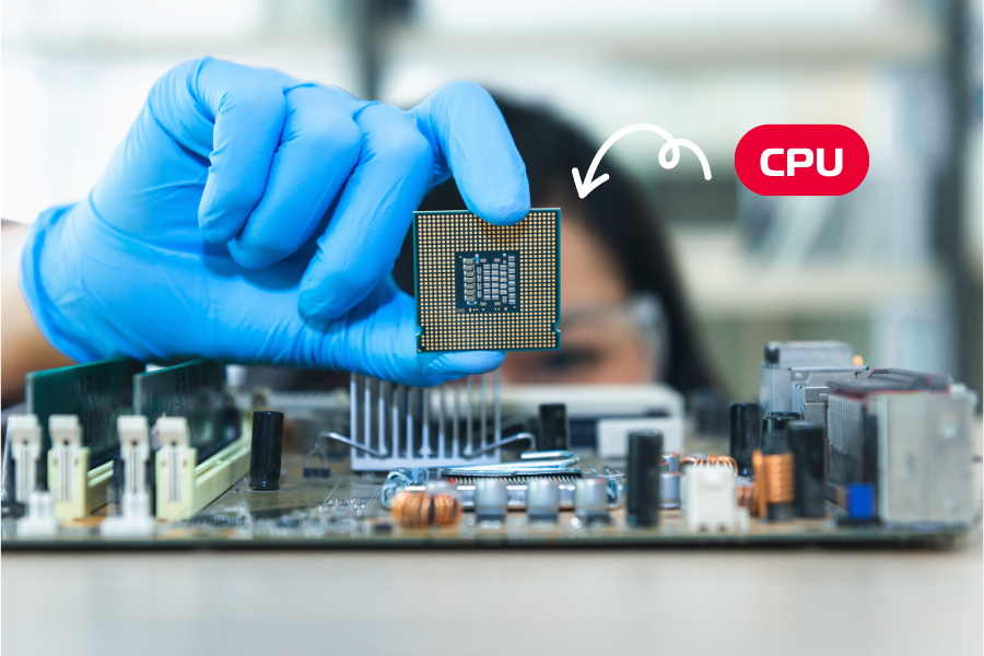 CPU (Central Processing Unit)