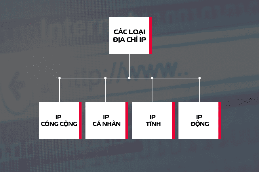 các loại địa chỉ ip