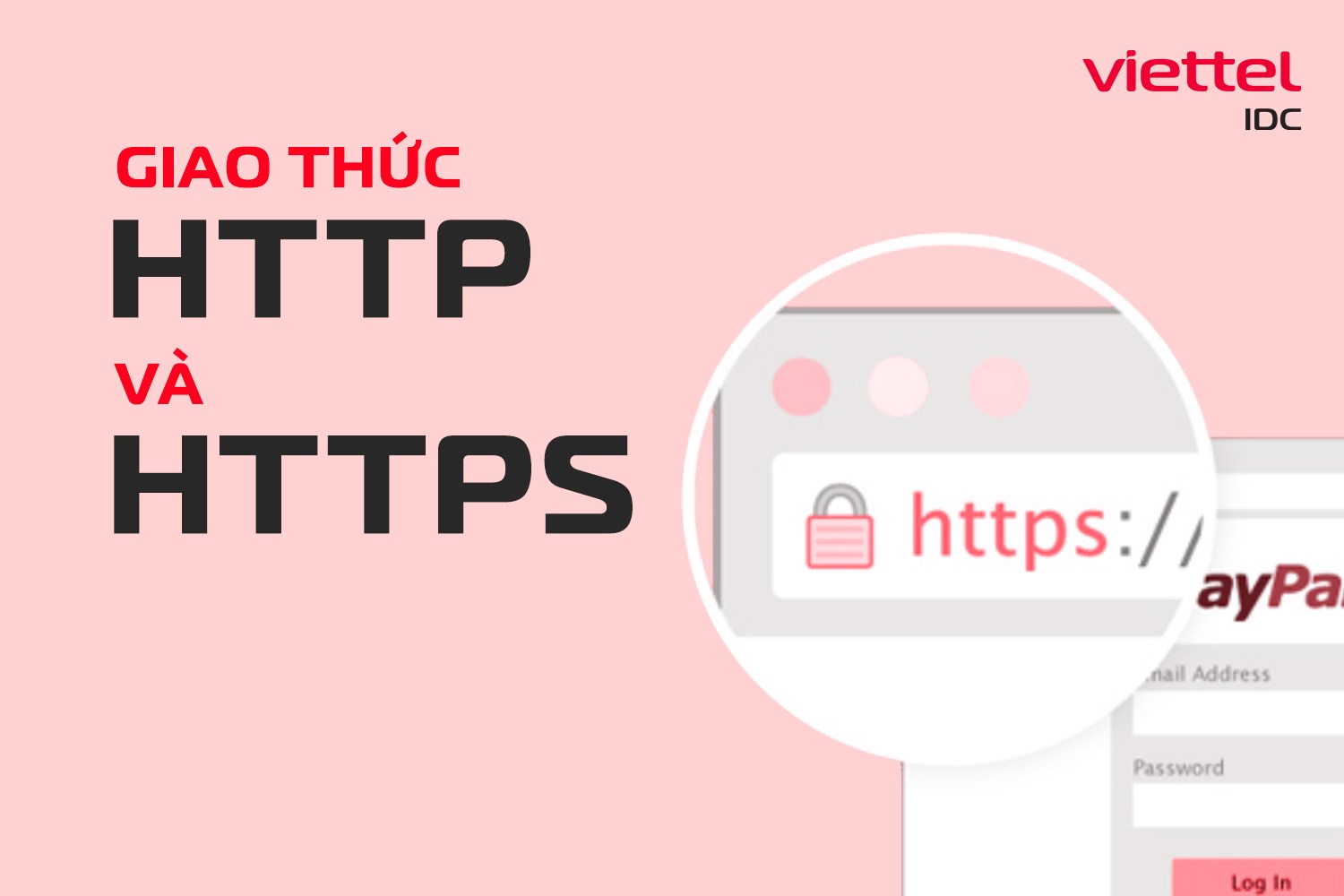 So sánh giao thức HTTP và HTTPS - Loại nào phù hợp để triển khai?