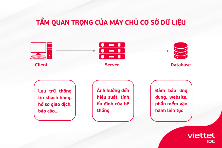 Tầm quan trọng của máy chủ cơ sở dữ liệu đối với doanh nghiệp