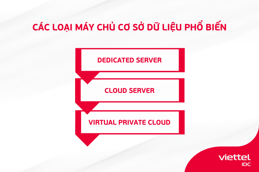 Các loại máy chủ cơ sở dữ liệu phổ biến hiện nay
