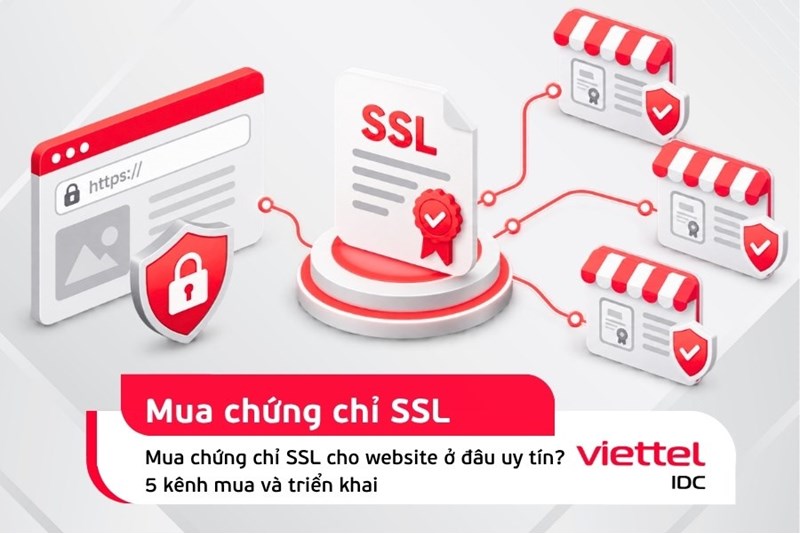 Mua chứng chỉ SSL cho website ở đâu uy tín? 5 kênh mua và triển khai