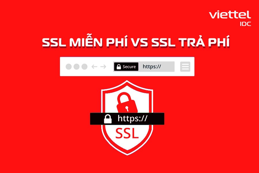 SSL miễn phí và trả phí - Đâu là lựa chọn thông minh?